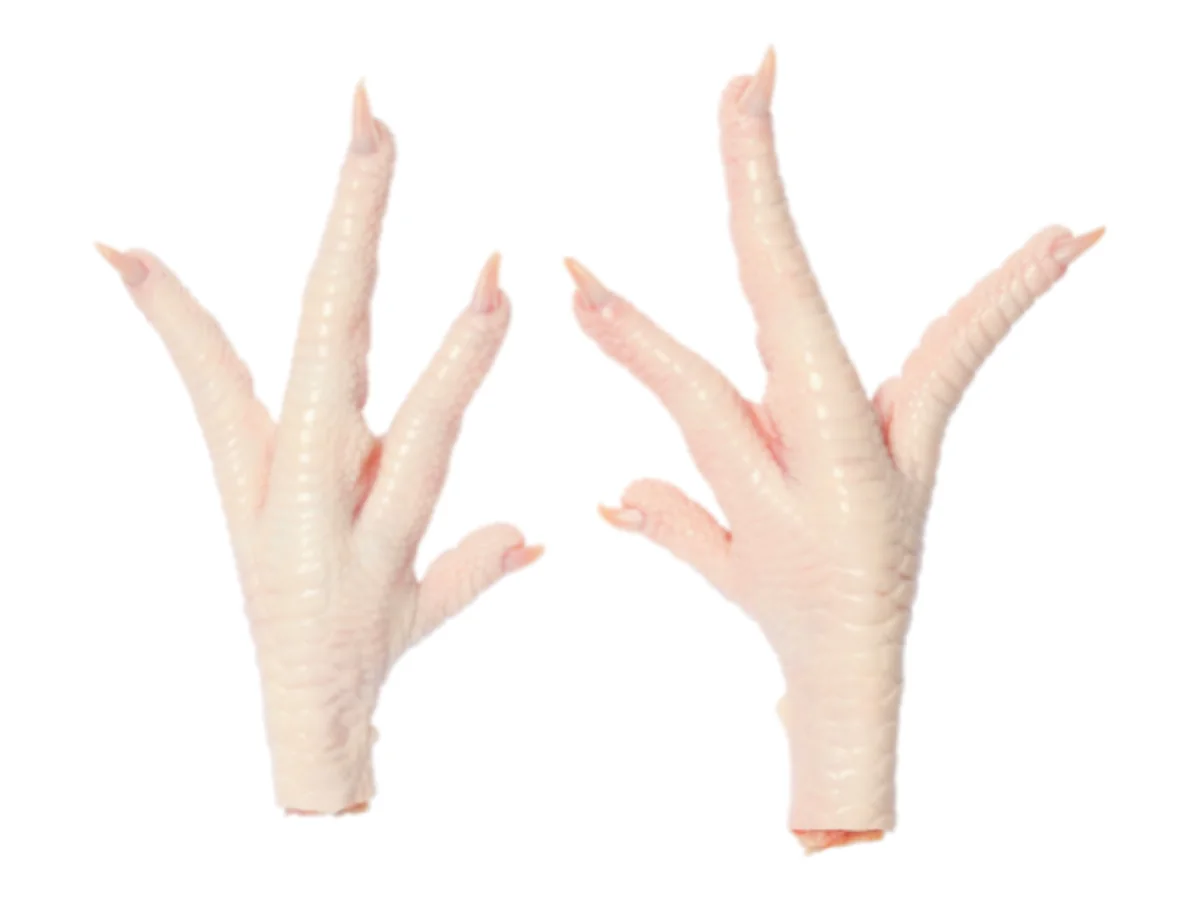 Frozen Chicken Paws