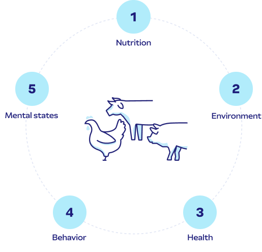 Five domains model of animal welfare
