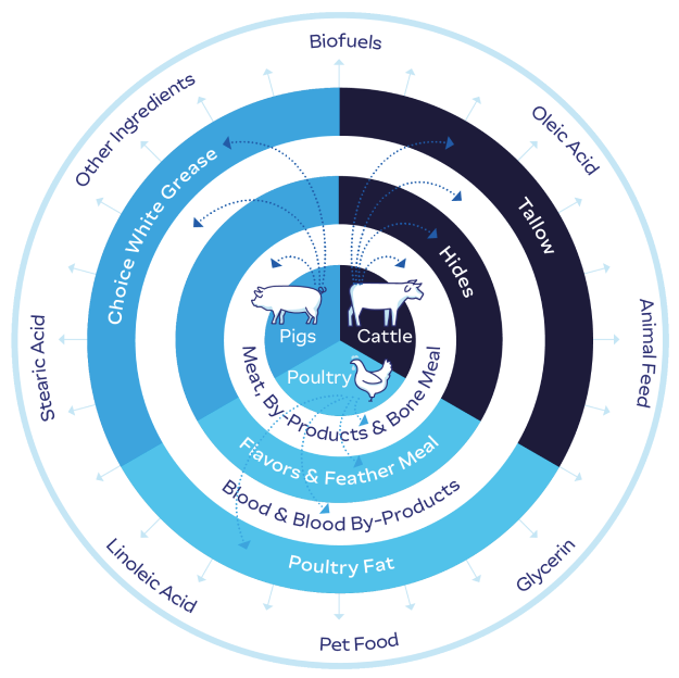 JBS circular economy wheel showing the use of animal-protein by-products